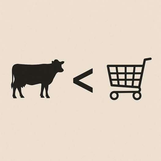Buying beef 🐄 in bulk may SEEM expensive, but it’s a lot cheaper than buying your meat from the store 🛒