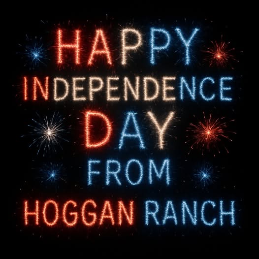 There’s nothing better than a nice juicy steak on the Fourth of July!