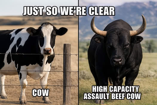 High Capacity Assault Beef Cow!
