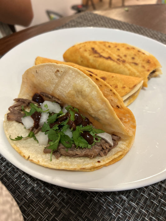 Birria Bliss with Hoggan Ranch Beef 🌮🔥